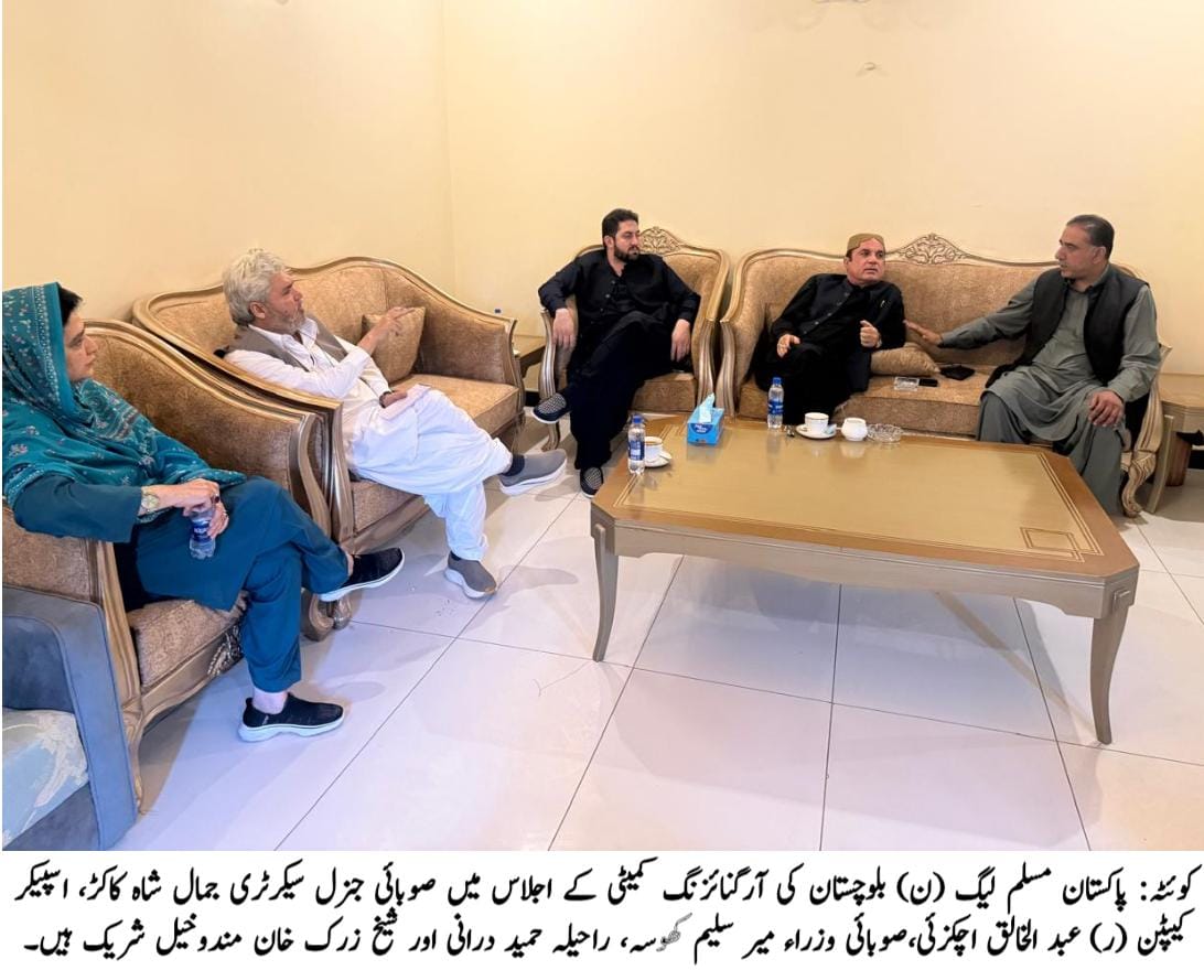 بلوچستان مسلم لیگ (ن)کا گڑھ بنے گا، آئندہ صوبے میں اکیلے حکومت بنائیں گے، آرگنائزنگ کمیٹی کے اجلاس کا عزم