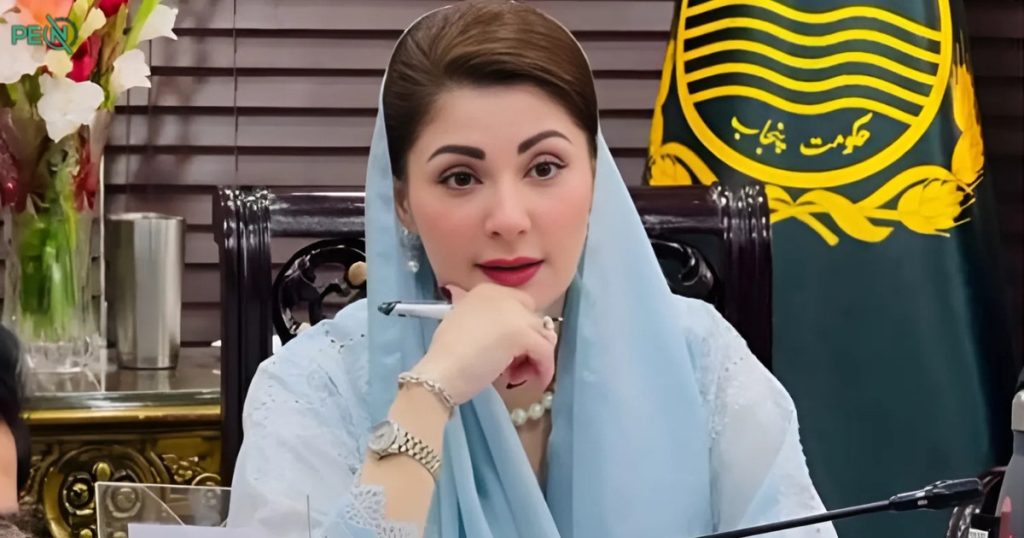 وزیراعلیٰ پنجاب سے قائم مقام امریکی سفیرکی ملاقات، اے آئی، ڈیجیٹل اثاثوں اور انرجی جیسے شعبوں میں تعاون پر اتفاق