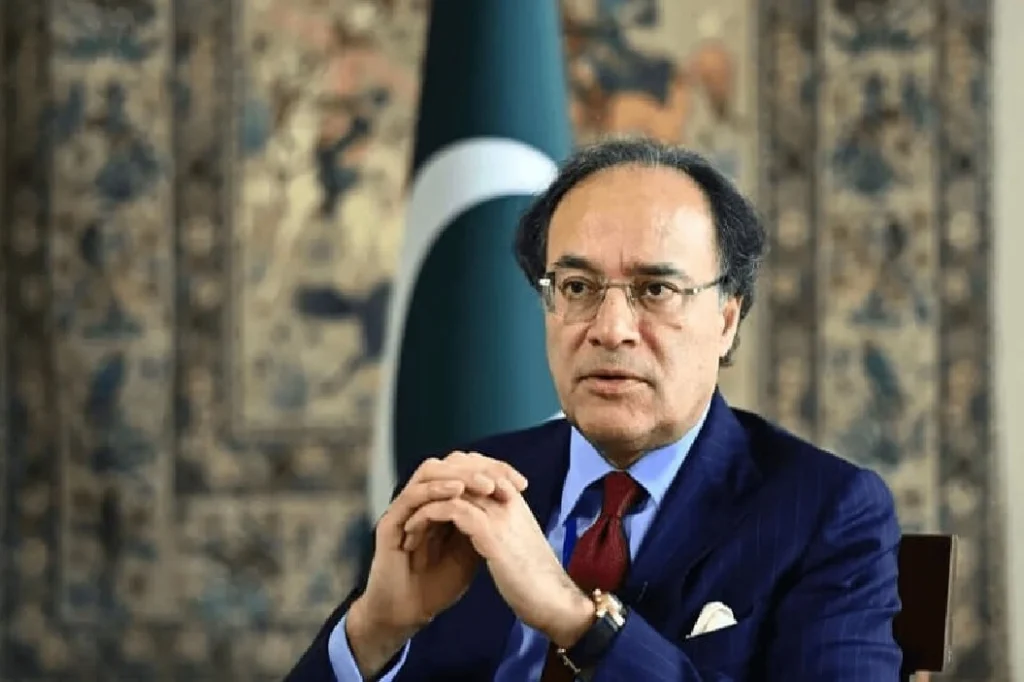 مشکل فیصلوں سے استحکام حاصل ہوا، پاکستان کو دوبارہ عروج و زوال کے معاشی چکر میں نہیں جانے دیں گے، وزیرخزانہ