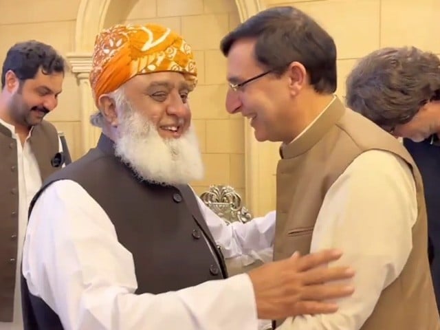 پی ٹی آئی وفد کی فضل الرحمان سے ملاقات، اے پی سی اور پی ٹی آئی کے احتجاج میں شرکت کی دعوت دیدی