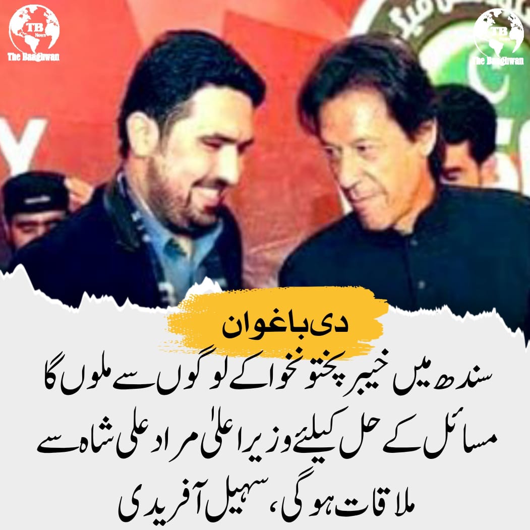 ‏میرا موقف ایک ہی ہے۔ کہ میرے لیڈر نے مجھے اپنے صوبے کے انتظامی معاملات چلانے کے ساتھ ساتھ سٹریٹ موومنٹ کی تیاری کے ہدایات دی۔ وزیر اعلیٰ خیبر پختونخوا سہیل آفریدی